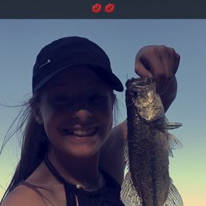 Meet your Posher, Raegan